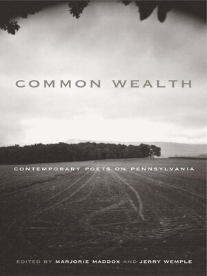 cover image of Common Wealth